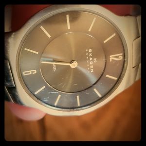 Skagen Steel Wristwatch